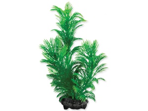 Rostlina TETRA Green Cabomba 23cm