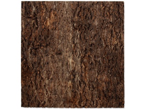 Pozadí REPTI PLANET korek přírodní 28,5×41cm