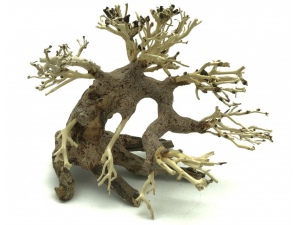 Bonsai Driftwood 15 x 12 x 14 cm No.7