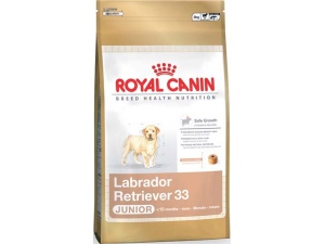 Royal Canin MAXI Labrador retrívr Junior 3kg