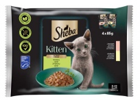 Sheba Kitten ve šťávě smíšený výběr - kuře a losos, 4 x 85 g