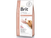 Brit VD Dog GF Renal